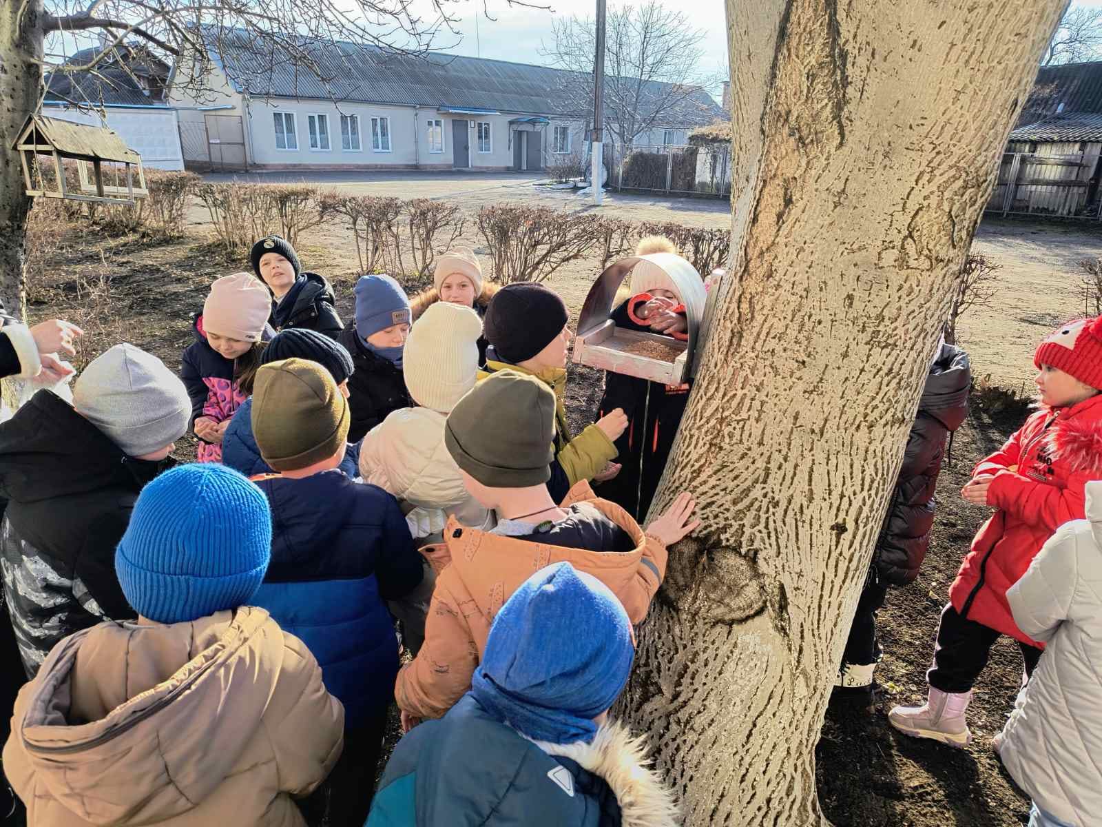День годування птахів