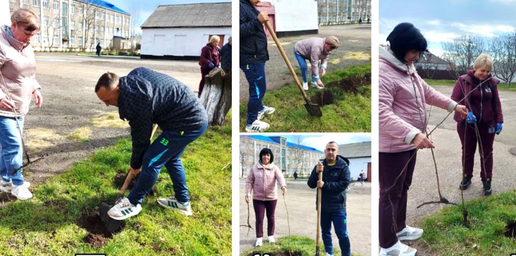 Екологічна толока